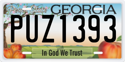 GA license plate PUZ1393