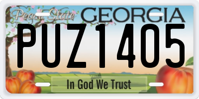 GA license plate PUZ1405