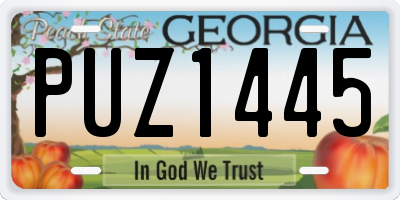 GA license plate PUZ1445