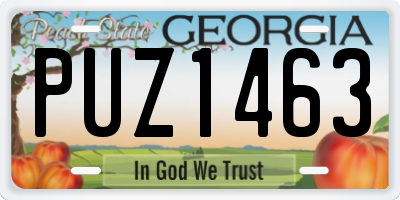 GA license plate PUZ1463