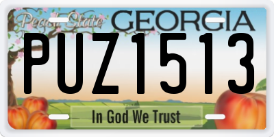 GA license plate PUZ1513