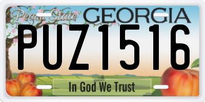 GA license plate PUZ1516