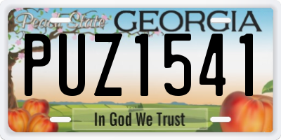GA license plate PUZ1541