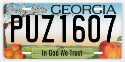 GA license plate PUZ1607