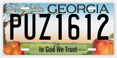 GA license plate PUZ1612
