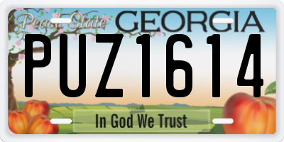 GA license plate PUZ1614