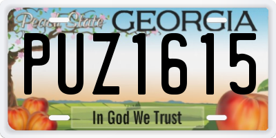 GA license plate PUZ1615
