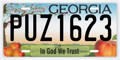 GA license plate PUZ1623
