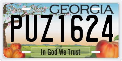 GA license plate PUZ1624