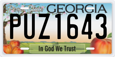 GA license plate PUZ1643