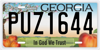 GA license plate PUZ1644