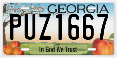 GA license plate PUZ1667