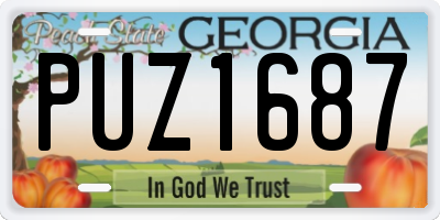 GA license plate PUZ1687