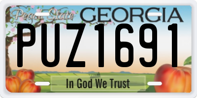 GA license plate PUZ1691