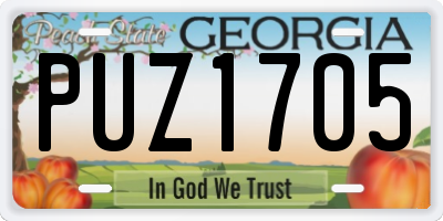GA license plate PUZ1705