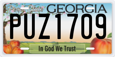 GA license plate PUZ1709