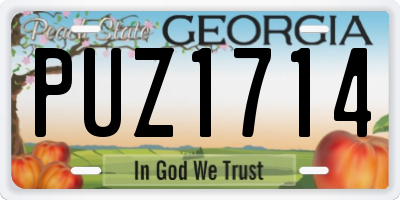 GA license plate PUZ1714