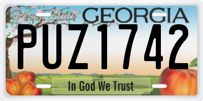 GA license plate PUZ1742