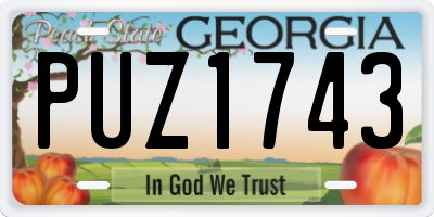 GA license plate PUZ1743