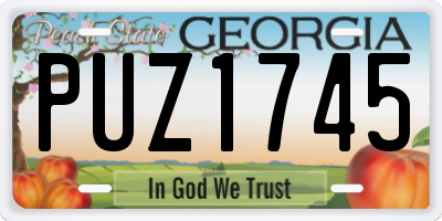 GA license plate PUZ1745