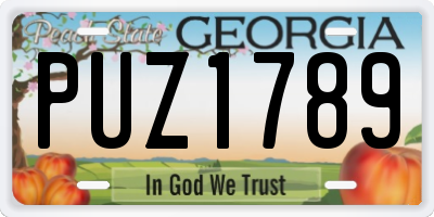 GA license plate PUZ1789