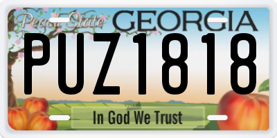 GA license plate PUZ1818