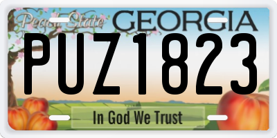 GA license plate PUZ1823