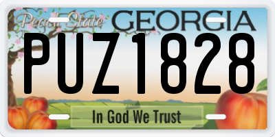 GA license plate PUZ1828