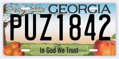 GA license plate PUZ1842