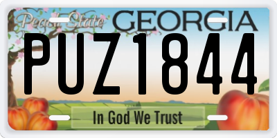 GA license plate PUZ1844