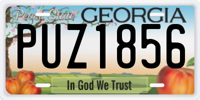 GA license plate PUZ1856