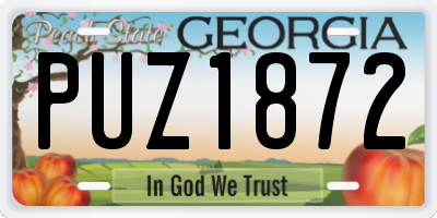 GA license plate PUZ1872