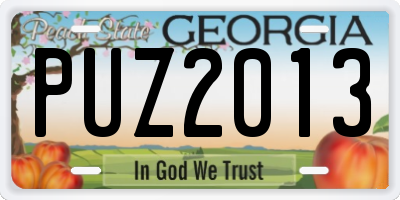 GA license plate PUZ2013