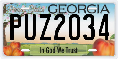 GA license plate PUZ2034