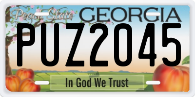 GA license plate PUZ2045