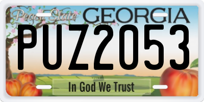 GA license plate PUZ2053