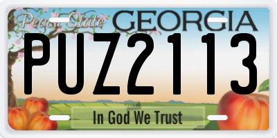 GA license plate PUZ2113