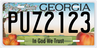 GA license plate PUZ2123