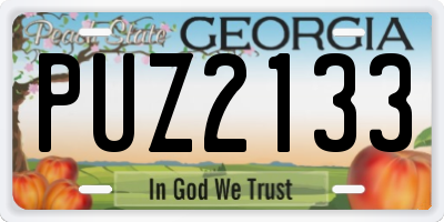 GA license plate PUZ2133