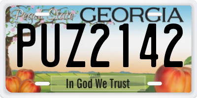 GA license plate PUZ2142