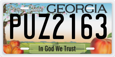GA license plate PUZ2163