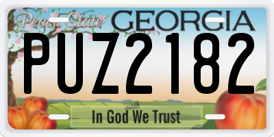 GA license plate PUZ2182