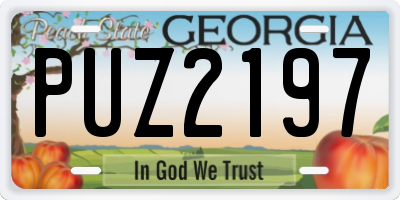 GA license plate PUZ2197