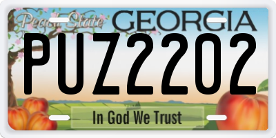 GA license plate PUZ2202