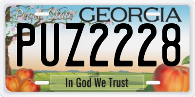 GA license plate PUZ2228