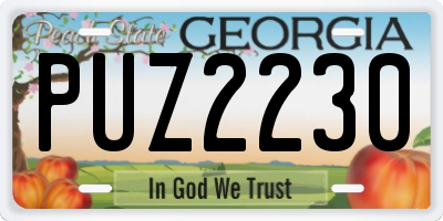 GA license plate PUZ2230