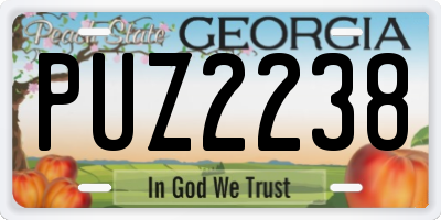 GA license plate PUZ2238
