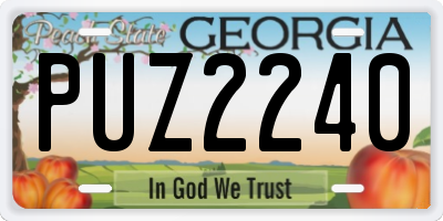 GA license plate PUZ2240