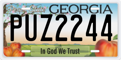 GA license plate PUZ2244