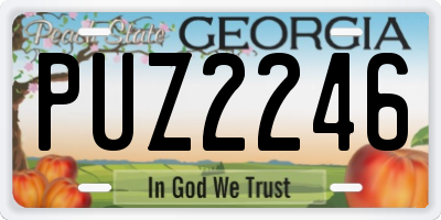 GA license plate PUZ2246